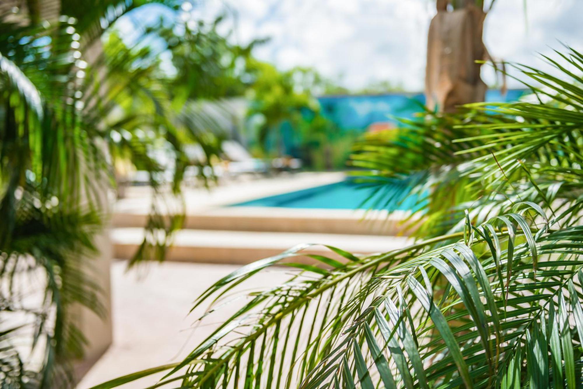 Casita Palma Boutique Resort Playa Eksteriør billede